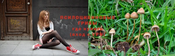 кокаин перу Богородск